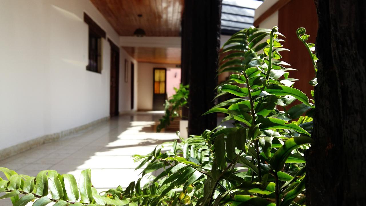 Hotel Casa Petra San Cristóbal de Las Casas エクステリア 写真