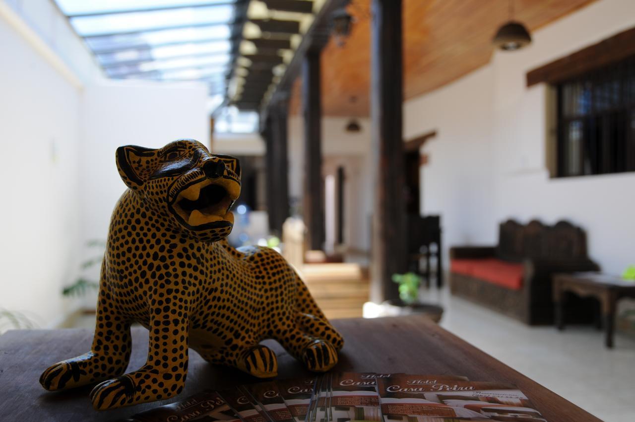 Hotel Casa Petra San Cristóbal de Las Casas エクステリア 写真